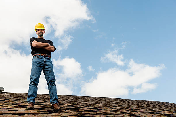 Best Roof Leak Repair  in Northfield, MN