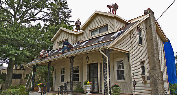 Roof Gutter Cleaning in Northfield, MN