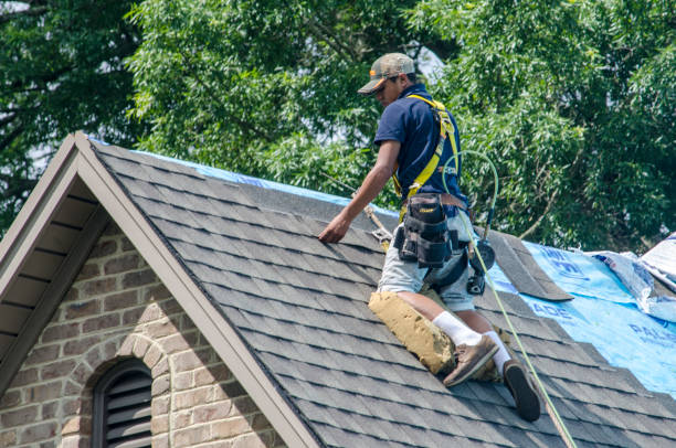 Quick and Trustworthy Emergency Roof Repair Services in Northfield, MN